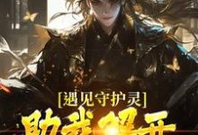 遇见守护灵，助我解开父亲的秘密（林风）完结版免费阅读-看书城