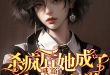 哦豁!杀疯后她成了反派黑月光!无弹窗叶邢舒司度最新章节列表-看书城