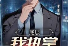 楚羽蔷小说的结局在哪可以看，底层：我执掌晋升奥秘免费阅读完结版-看书城