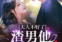 夫人不好了！渣男他要求爱大结局，黎岁霍砚舟小说无广告阅读-看书城
