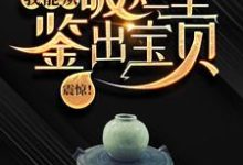 主角是陆飞的小说震惊！我能从破烂里鉴出宝贝！在哪免费看-看书城