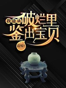 主角是陆飞的小说震惊！我能从破烂里鉴出宝贝！在哪免费看