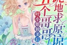叶小姐独美后,五个哥哥跪地求原谅最新章节叶小姐独美后,五个哥哥跪地求原谅在线阅读-看书城