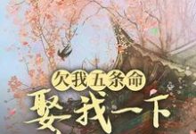 欠我五条命,娶我一下怎么了?(玉沁宋祁)最新章节在线阅读-看书城
