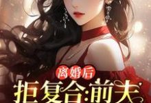 沈寒星小说免费阅读最新章节列表,离婚后拒复合:前夫儿子悔断肠小说在线看-看书城