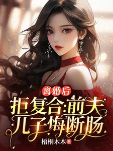 沈寒星小说免费阅读最新章节列表，离婚后拒复合：前夫儿子悔断肠小说在线看