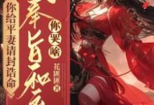 你给平妻请封诰命,我奉旨和离你哭啥?(主角陆知苒)完结版免费阅读-看书城