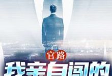 官路：我亲自闯的谁敢拦无弹窗陆一鸣唐晓婉最新章节列表-看书城