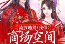 林书棠段砚洲小说免费阅读最新章节列表，流放逃荒？我带商场空间活的舒服嘞小说在线看-看书城