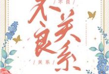 不良关系(主角桑胤衡南枫)完结版免费阅读-看书城