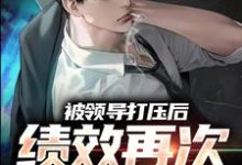 主人公是孙平安林若薇的小说被领导打压后,绩效再次被清零!免费阅读-看书城