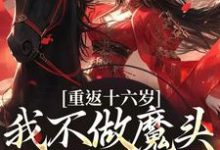 求助这本重返十六岁,我不做魔头改修仙了小说在哪里可以看完结版-看书城