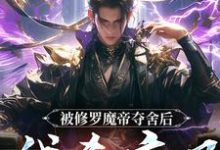 被修罗魔帝夺舍后,我杀疯了完结版宋萧然免费阅读大结局-看书城