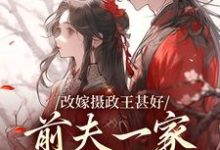 改嫁摄政王甚好,前夫一家哀求回头大结局,唐枝祁璟小说无广告阅读-看书城