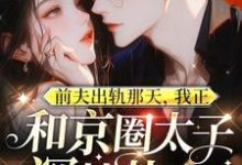 主人公是温妍的小说前夫出轨那天,我正和京圈太子深情热吻免费阅读-看书城
