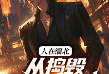 人在缅北,从捣毁科技园开始(主角韩潇)完结版免费阅读-看书城