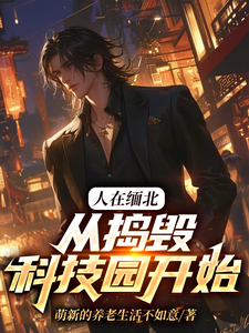 人在缅北，从捣毁科技园开始（主角韩潇）完结版免费阅读
