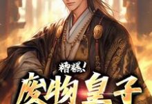 糟糕!废物皇子他觉醒了(徐元南宫璃)最新章节免费阅读-看书城