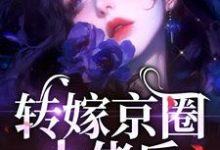 转嫁京圈大佬后，前任悔不当初（主角苏婉禾司北琛）完结版免费阅读-看书城