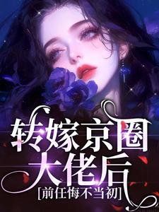转嫁京圈大佬后，前任悔不当初（主角苏婉禾司北琛）完结版免费阅读