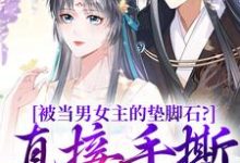 主人公是云子娆墨苍澜的小说被当男女主的垫脚石?直接手撕剧本免费阅读-看书城