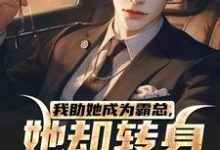 主角是陆寒楚若烟的小说我助她成为霸总，她却转身不要我了在哪免费看-看书城
