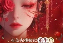 扯盖头!撕嫁衣!重生后她不忍了无弹窗司若雪墨锦成最新章节列表-看书城