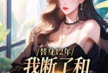 求助这本替身12年,我断了和养父母的关系小说在哪里可以看完结版-看书城