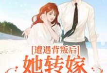 遭遇背叛后，她转嫁大佬赢麻了小说最新章节在哪里可以免费看-看书城
