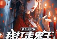 主人公是昊昆的小说夜宿乱坟岗，我扛走鬼王漂亮新娘免费阅读-看书城