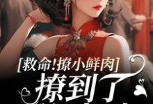 救命！撩小鲜肉撩到了顶级权贵！大结局，李善小说无广告阅读-看书城