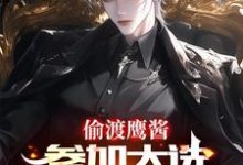 主角是赵峰的小说偷渡鹰酱,参加大选不过分吧?在哪免费看-看书城