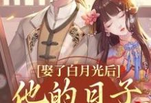 主人公是盛栖月萧玉衡的小说娶了白月光后,他的日子鸡飞狗跳免费阅读-看书城