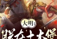 大明:朕在土木堡杀疯了精彩章节阅读(朱祁镇)免费阅读大结局-看书城