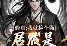 修真：我就捡个猫，居然是绝世大妖免费阅读(张道衍)小说免费读最新章节-看书城
