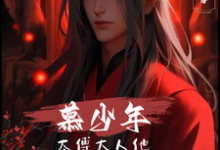 主角是宁绝安崇邺的小说慕少年:太傅大人他风华绝代在哪免费看-看书城