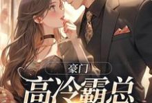 主人公是苏颜汐傅霖宸的小说豪门:高冷霸总别太宠免费阅读-看书城