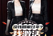 陈东林雨桐在线阅读,没钱回家过年?我激活0元购系统小说完结版章节-看书城