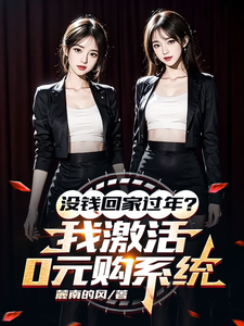 陈东林雨桐在线阅读，没钱回家过年？我激活0元购系统小说完结版章节