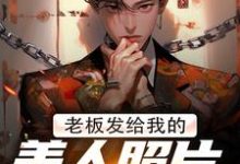 完结版老板发给我的美人照片是老板娘在哪免费看,林江宇小说在线阅读-看书城