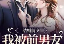 结婚前夕，我被前男友带走了（薄寒深曲南枝）最新章节免费在线阅读-看书城