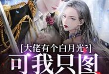 大佬有个白月光?可我只图他钱包啊无弹窗姜书禾靳珩最新章节列表-看书城