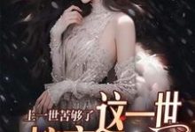 上一世苦够了,这一世嫁京圈大佬无弹窗安暖慕晟最新章节列表-看书城