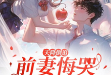 精彩章节阅读天降倒追，前妻悔哭求复合(李沐风)免费小说在线看-看书城