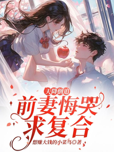 精彩章节阅读天降倒追，前妻悔哭求复合(李沐风)免费小说在线看