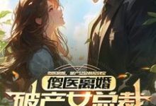 傻医离婚，破产女总裁捡到宝精彩章节阅读(杨路年兮兮)免费阅读大结局-看书城