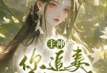 主神，你追妻又失败了？小说最新章节在哪里可以免费看-看书城
