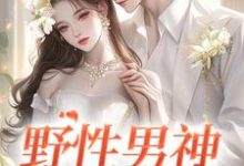 野性男神宠上瘾（江妄黎之恩）最新章节在线阅读-看书城