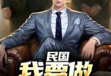 民国：我要做乱世枭雄在线看，林江宇小说大结局在哪免费看-看书城
