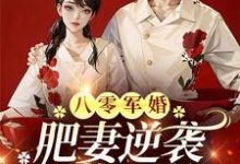 八零军婚，肥妻逆袭又飒又软热门小说(周琳琳严屹辰)在线阅读无弹窗-看书城